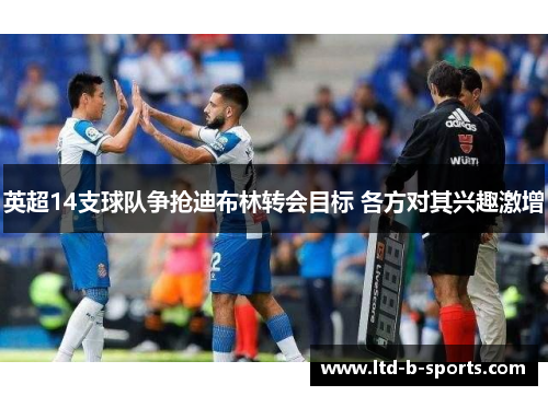 英超14支球队争抢迪布林转会目标 各方对其兴趣激增