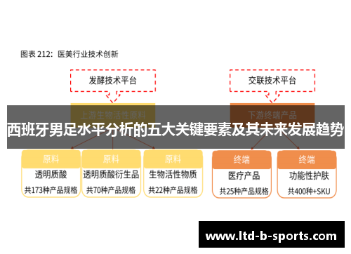 西班牙男足水平分析的五大关键要素及其未来发展趋势 西班牙男足水平分析的五大关键要素及其未来发展趋势