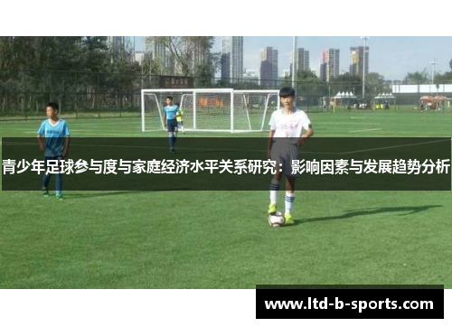 青少年足球参与度与家庭经济水平关系研究：影响因素与发展趋势分析