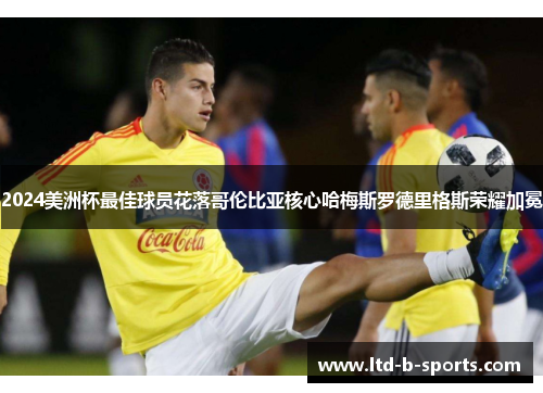 2024美洲杯最佳球员花落哥伦比亚核心哈梅斯罗德里格斯荣耀加冕 2024美洲杯最佳球员花落哥伦比亚核心哈梅斯罗德里格斯荣耀加冕