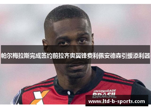 帕尔梅拉斯完成签约前拉齐奥翼锋费利佩安德森引援添利器