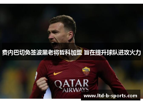 费内巴切免签波黑老将哲科加盟 旨在提升球队进攻火力