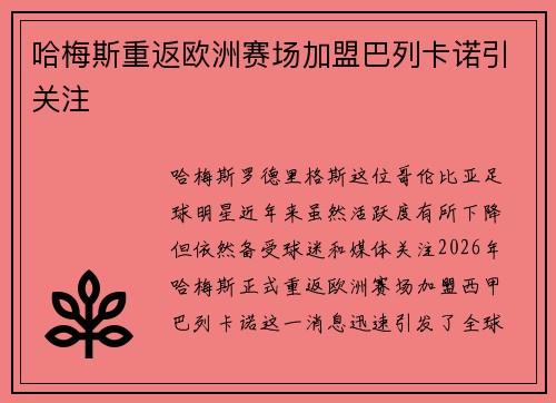 哈梅斯重返欧洲赛场加盟巴列卡诺引关注 哈梅斯重返欧洲赛场加盟巴列卡诺引关注
